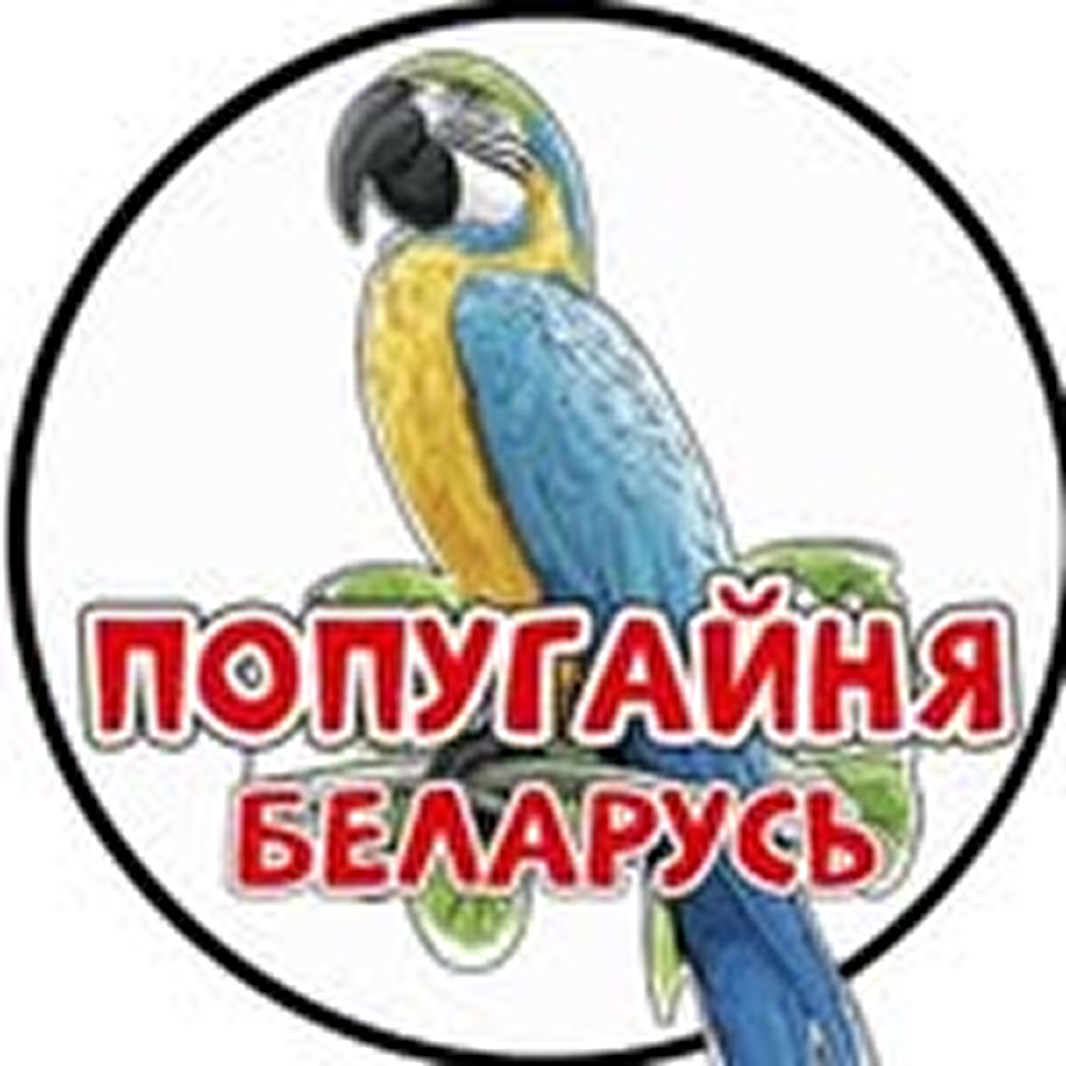Попугайня от 15,40р в Малиновке